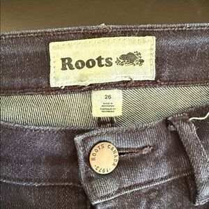 Roots Dark Wash Skinny Jeans
